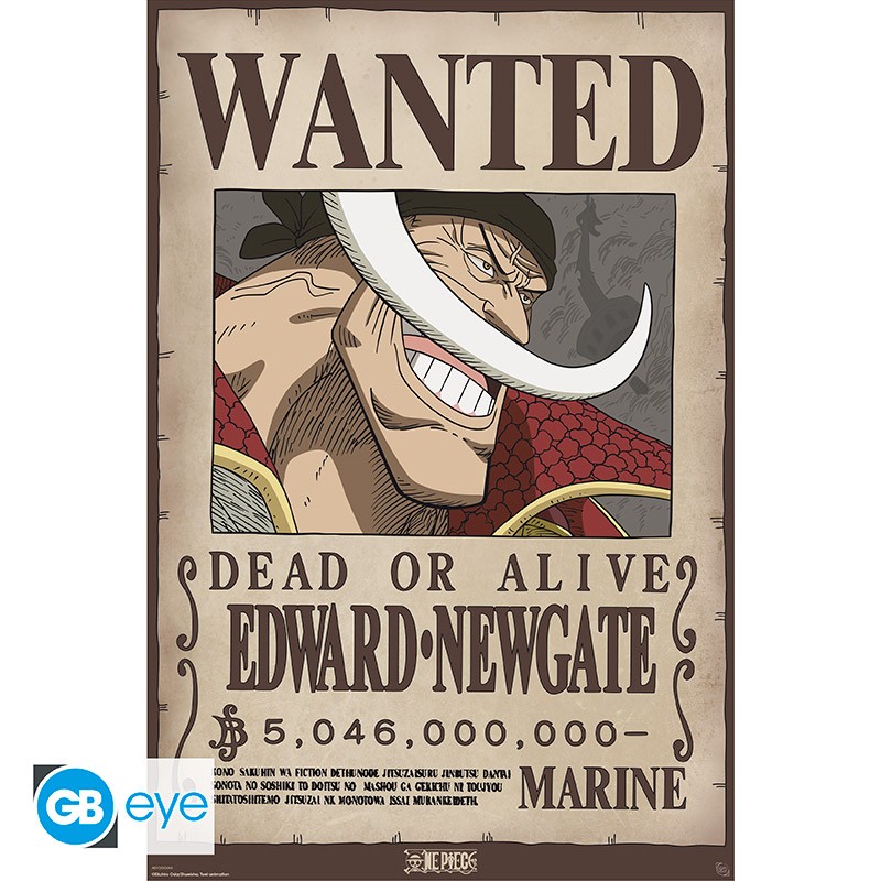 One Piece Poster: Maxi 91.5x61 - Wanted Whitebeard