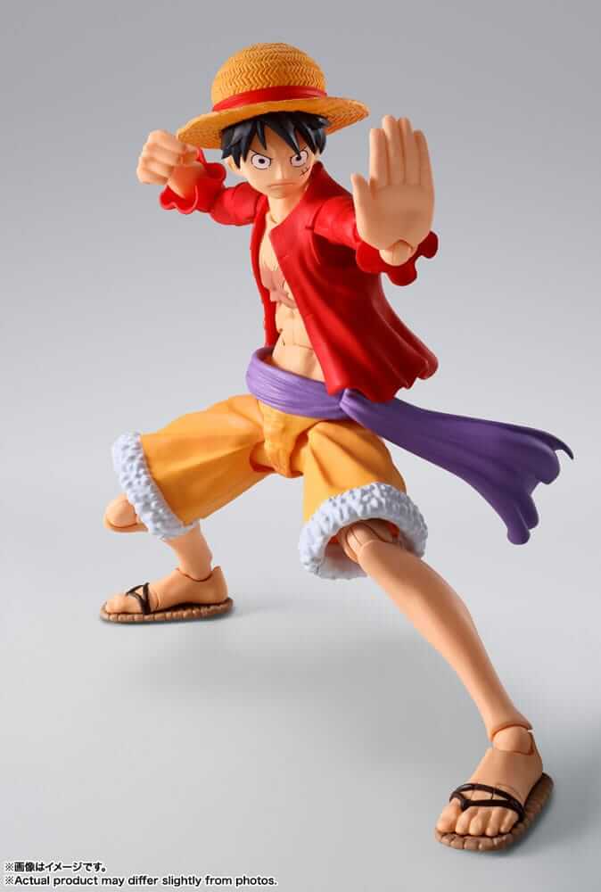 Goodie Monkey D. Luffy & Chopper - Figuarts ZERO Ver. WT100