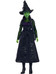 Wicked Doll - Elphaba