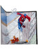 Marvel Collection - Spider-Man (The Amazing Spider-Man #302) 1/10